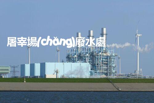 屠宰場(chǎng)廢水處理工藝的創(chuàng)新與以后？